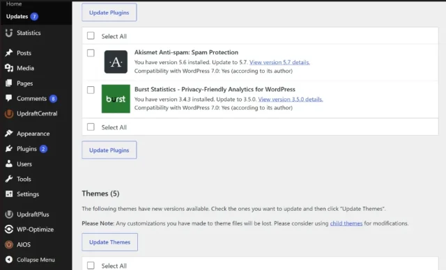 Screenshot of WordPress updates page showing pending updates for plugins and themes