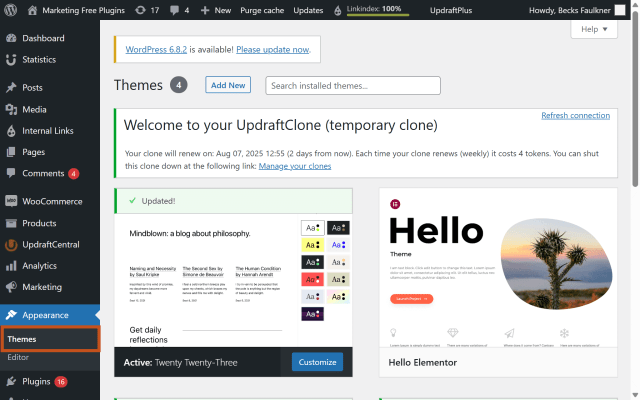 Showing where to find themes in the WordPress dashboard