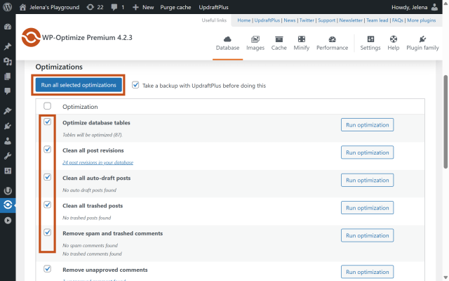 Running a database cleanup in WP-Optimize