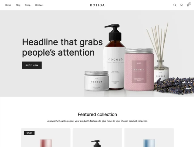 Screenshot of Botiga theme homepage