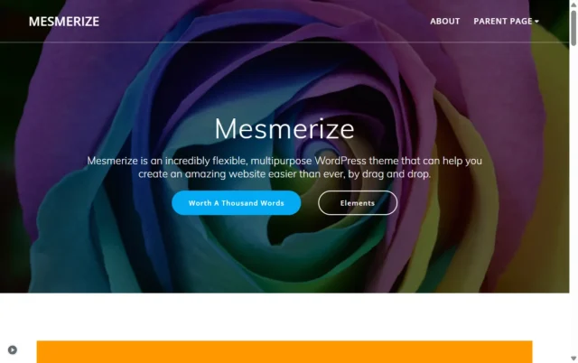 Screenshot of Mesmerize theme homepage