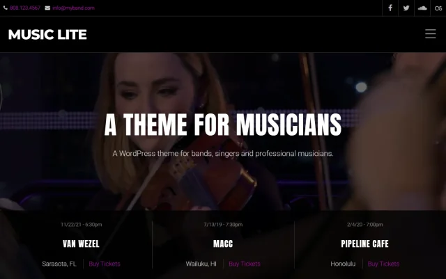 Screenshot of Music Lite theme homepage
