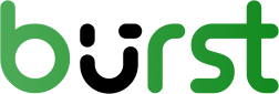 Burst Statistics logo