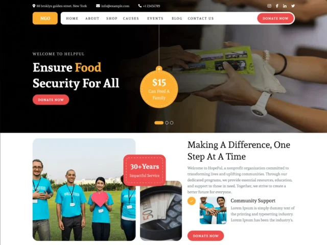 Screenshot of NGO Relief theme homepage