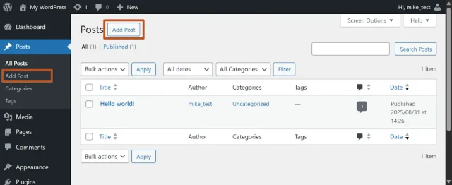 Screenshot of WordPress 'Post' page with 'New Post' button selected
