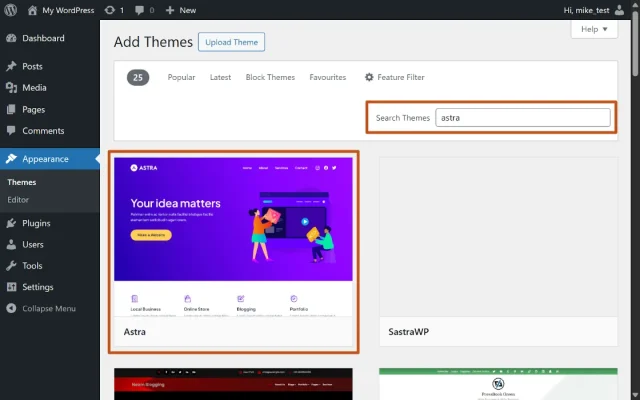 Screenshot of Astra theme selected as a chosen theme from theme directory
