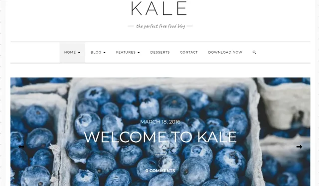 Screenshot of Kale Theme Homepage