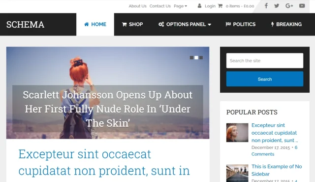 Screenshot of Schema theme homepage