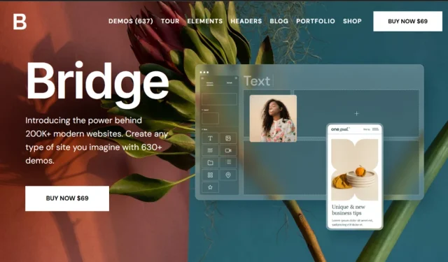 Bridge theme homepage screenshot