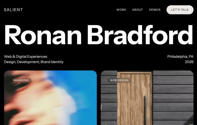 Salient theme homepage screenshot