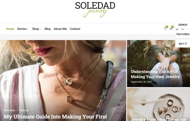 Soledad theme homepage screenshot