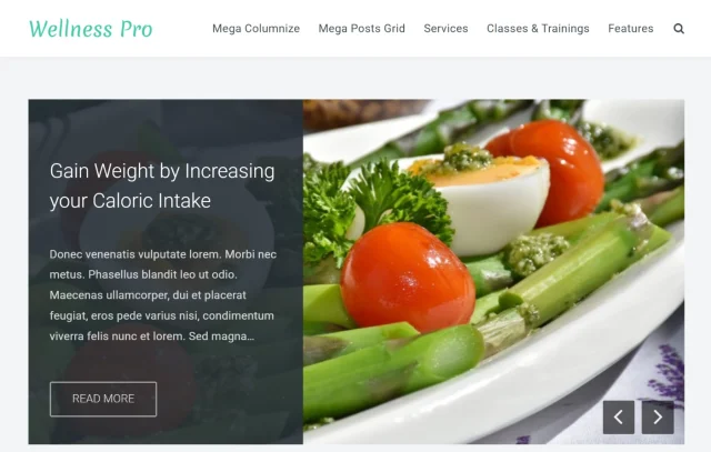 Wellness Pro theme homepage screenshot