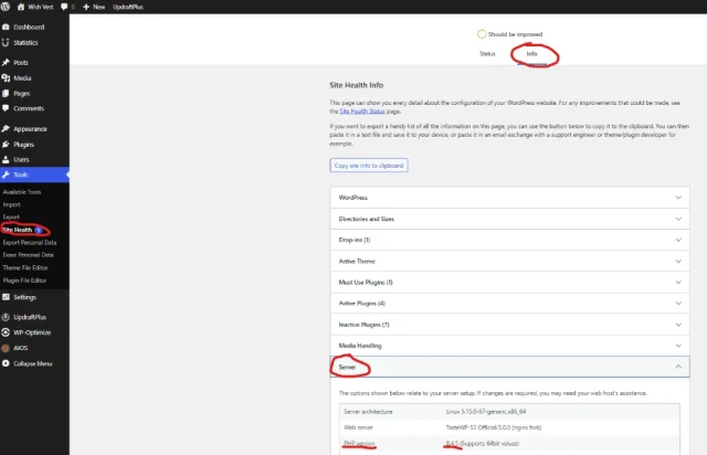 Screenshot of the Site Health section