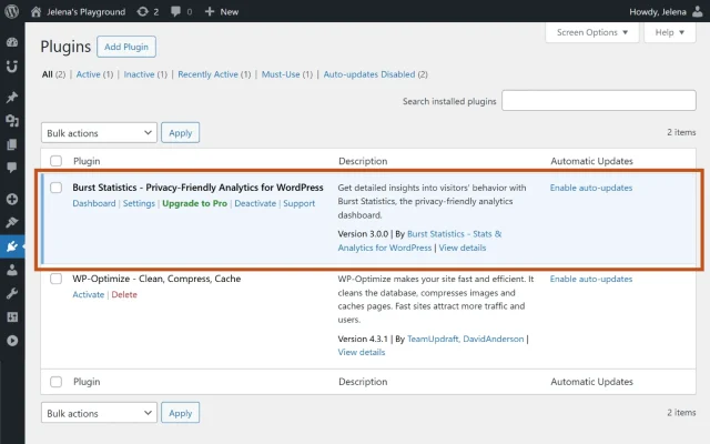 Screenshot of the WordPress admin plugin dashboard showing Burst Statistics plugin installed