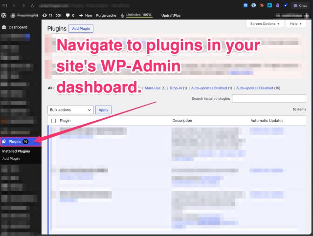 A WordPress Admin dashboard with most content blurred. The 'plugins' option is highlighted.