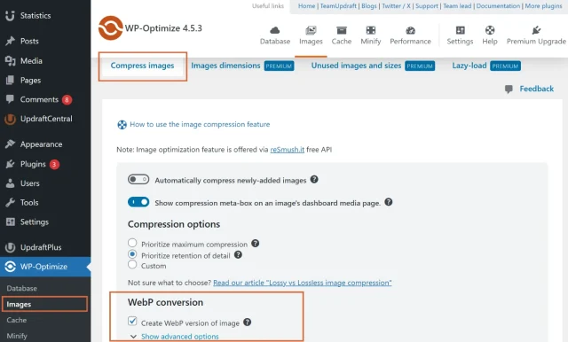 Screenshot of WP Optimize WebP conversion tab