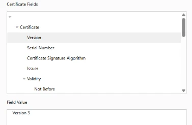 A screenshot of an example of a digital certificate
