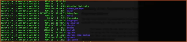 Screenshot of www-data in terminal
