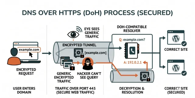 Infographic illustrating the steps of DNS over HTTPS process